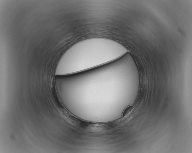 X0000112880082200908211101