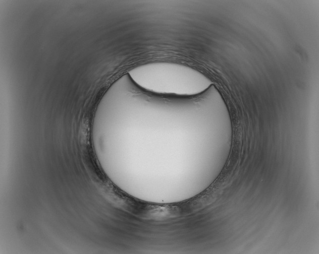 X0000112880083200908211101