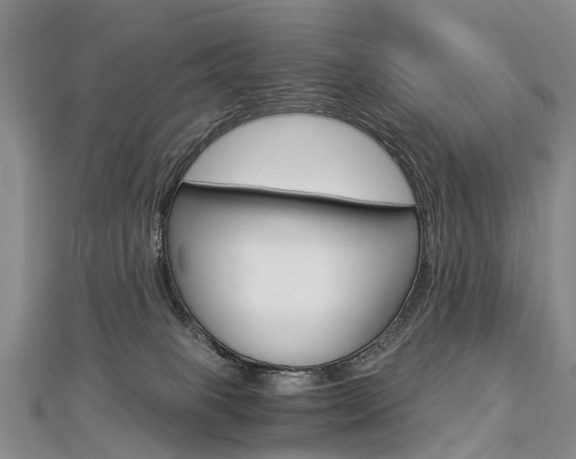 X0000112880085200908211101