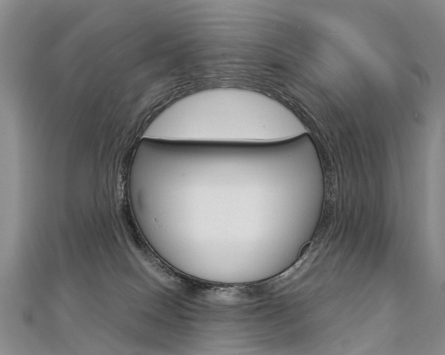 X0000112880086200908211101