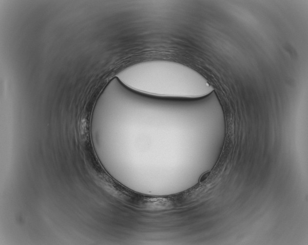 X0000112880087200908211101