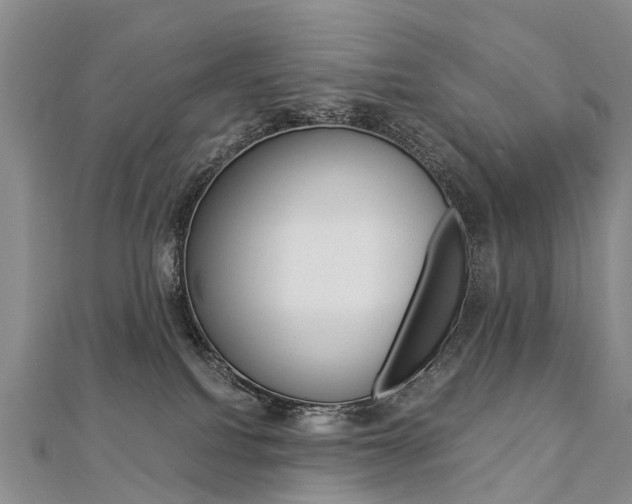 X0000112880088200908211101