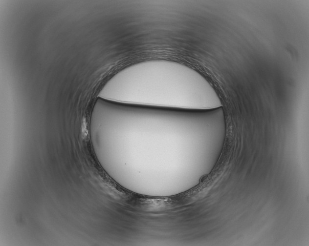 X0000112880089200908211101