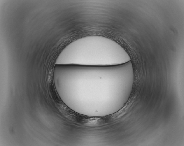 X0000112880090200908211101