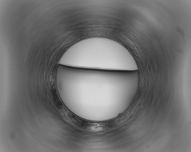 X0000112880091200908211101