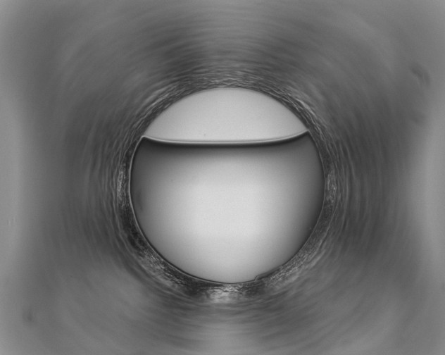 X0000112880092200908211101