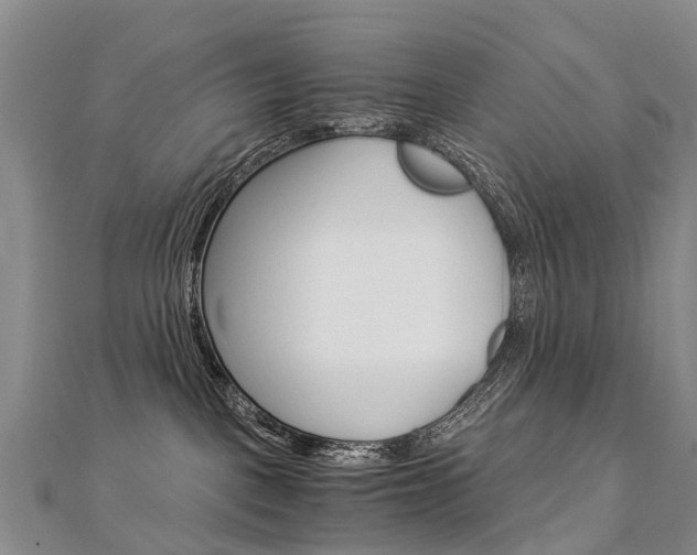 X0000112880093200908211101