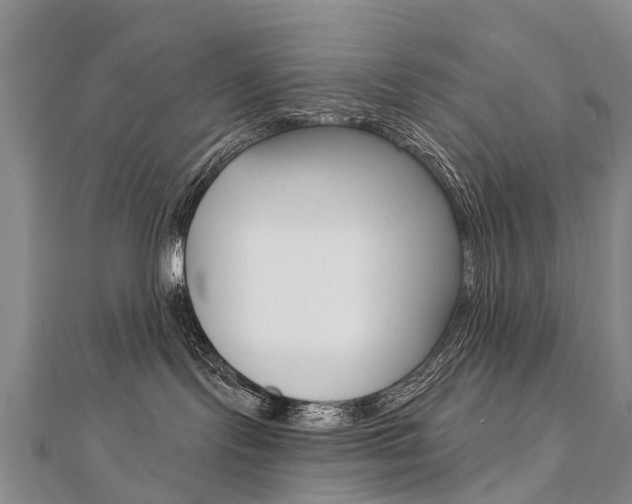 X0000112880095200908211101