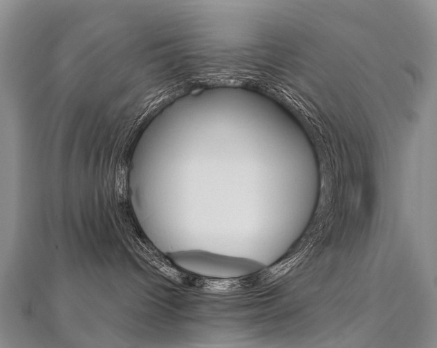 X0000112880096200908211101