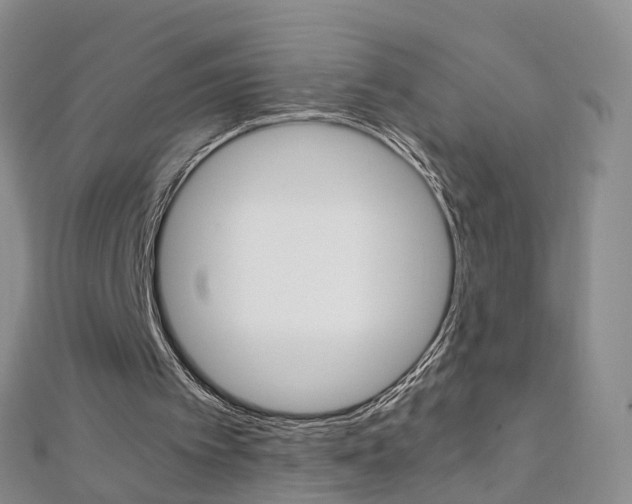 X0000112880097200908211100