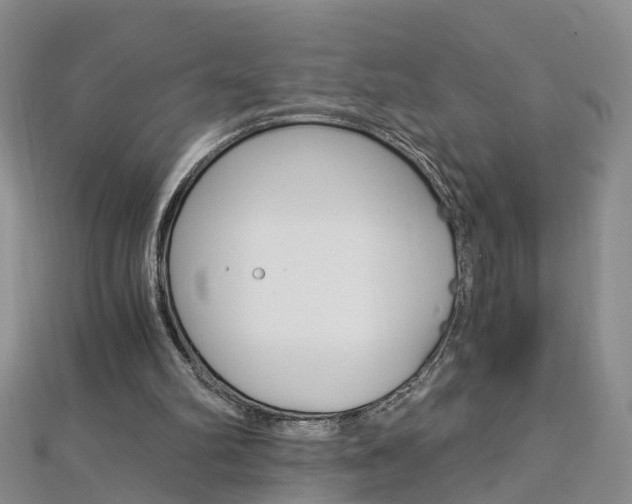 X0000112880102200908211100