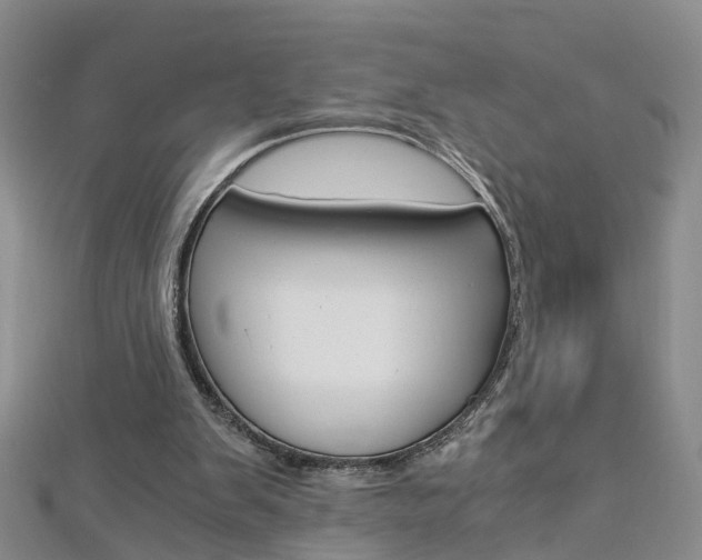 X0000112880103200908211100