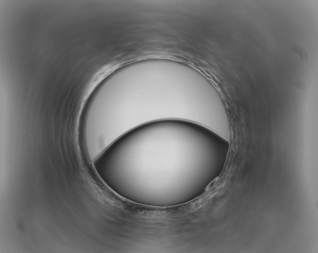 X0000112880104200908211100