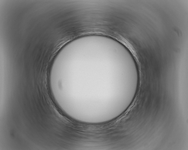 X0000112880105200908211100