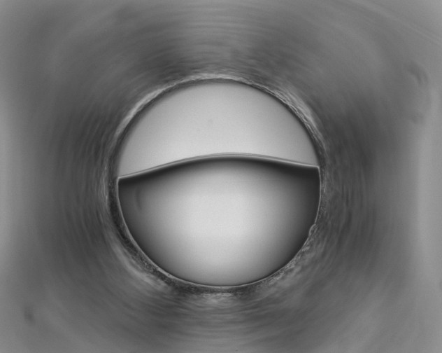 X0000112880108200908211100