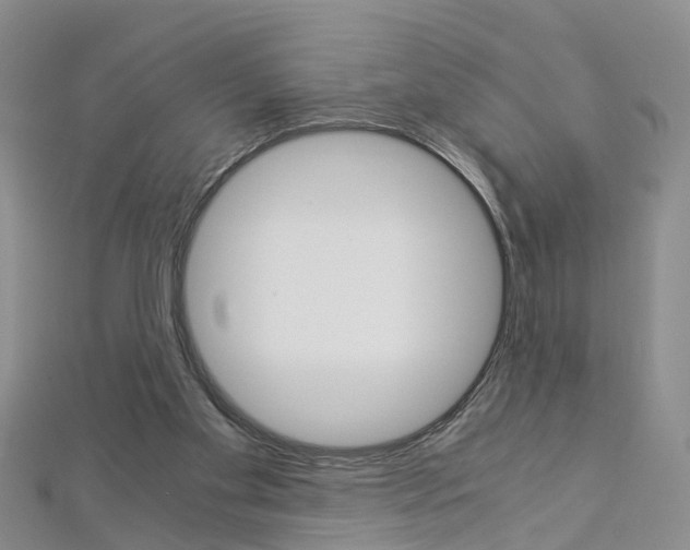 X0000112880109200908211100