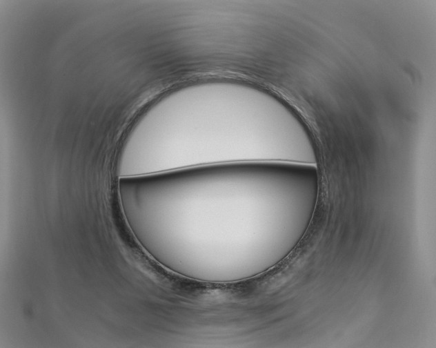 X0000112880111200908211100