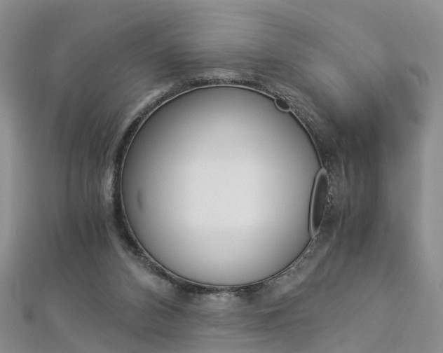 X0000112880112200908211100