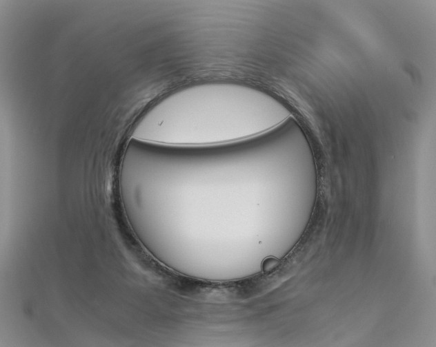 X0000112880115200908211100