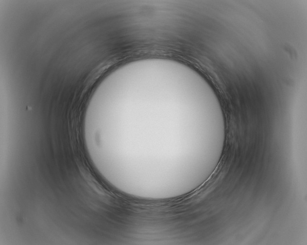 X0000112880116200908211100