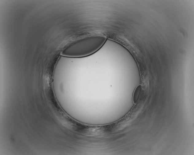 X0000112880117200908211100