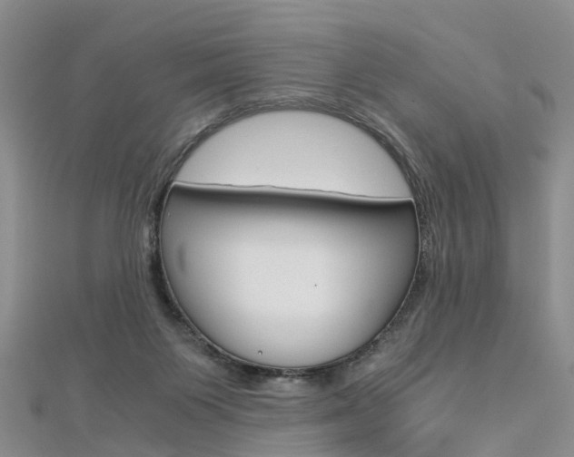 X0000112880119200908211100