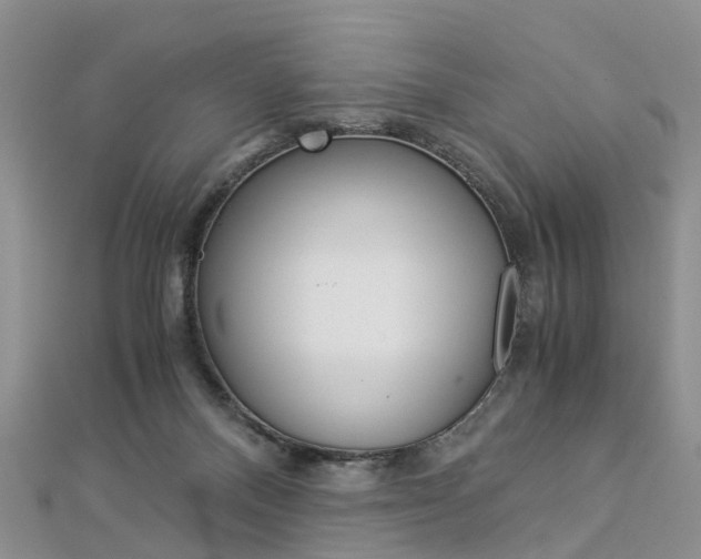 X0000112880120200908211100