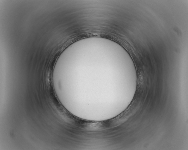 X0000112880122200908211100