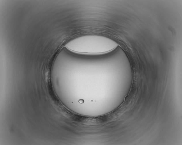 X0000112880123200908211100