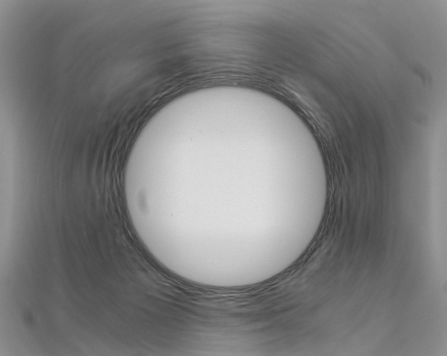 X0000112880125200908211100