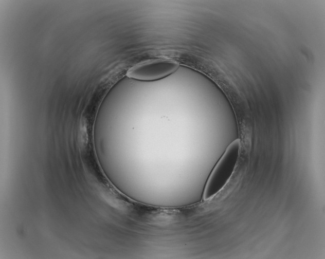 X0000112880128200908211100