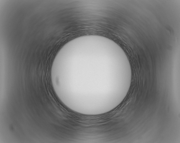 X0000112880129200908211100