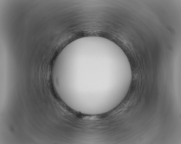 X0000112880133200908211100