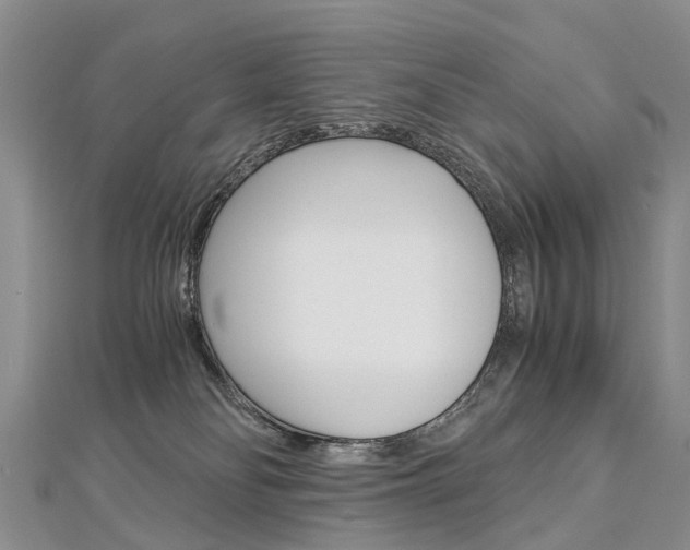 X0000112880134200908211100