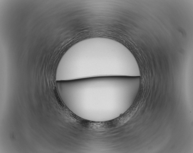 X0000112880139200908211100