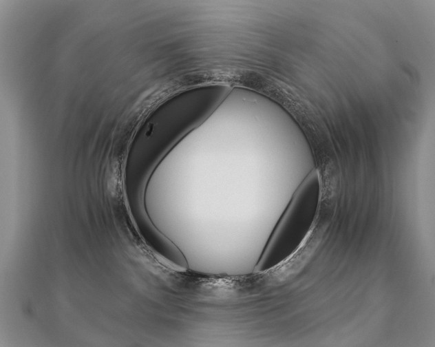 X0000112880140200908211100