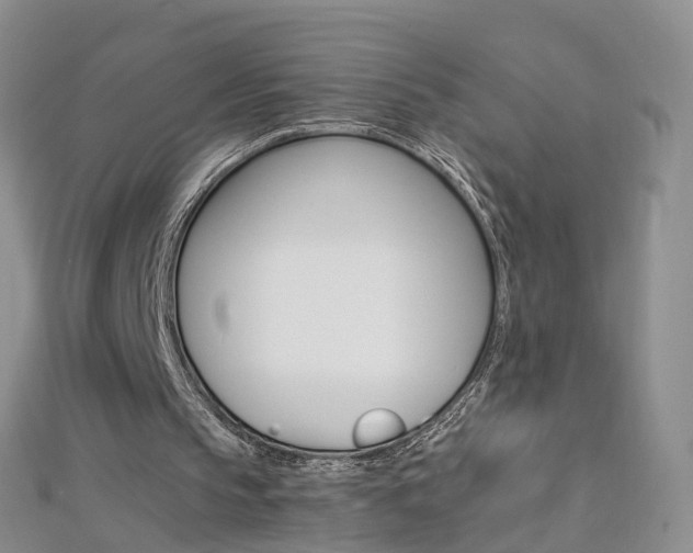 X0000112880145200908211059