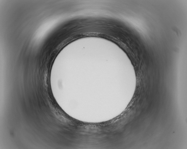 X0000112880146200908211059