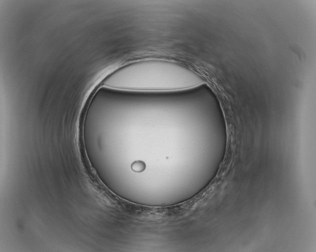 X0000112880148200908211059