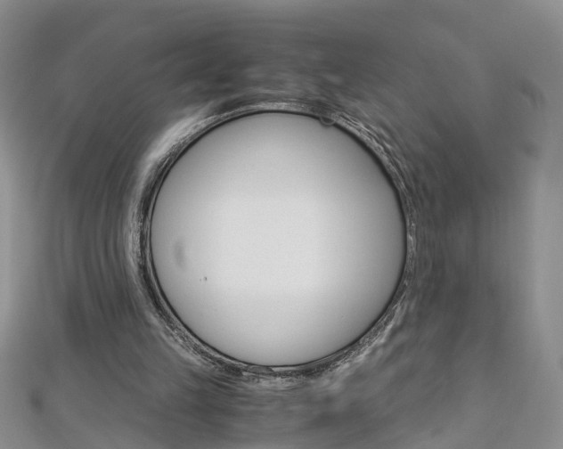 X0000112880149200908211059