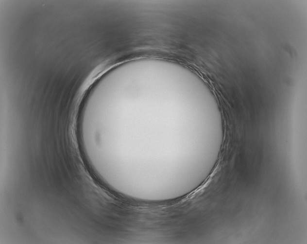 X0000112880150200908211059