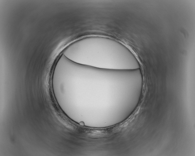 X0000112880151200908211059