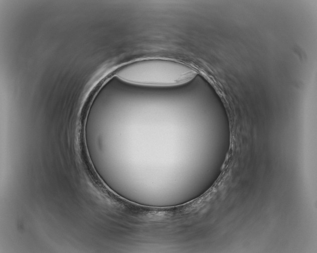 X0000112880152200908211059