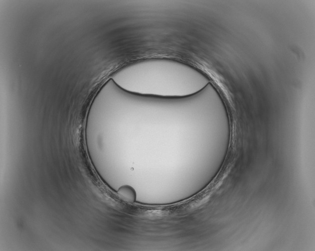 X0000112880153200908211059