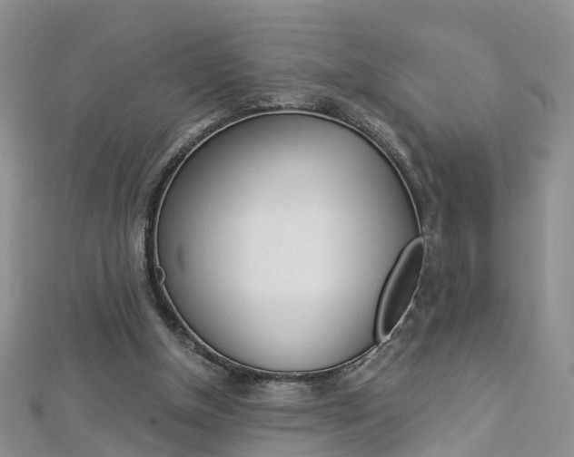 X0000112880154200908211059