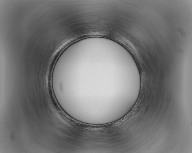 X0000112880155200908211059