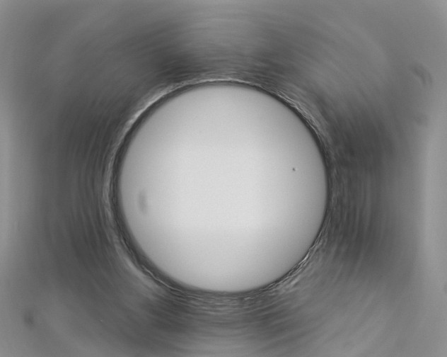 X0000112880156200908211059