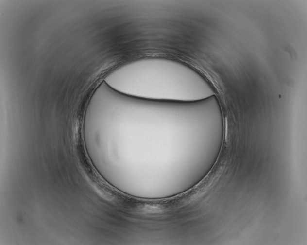 X0000112880157200908211059