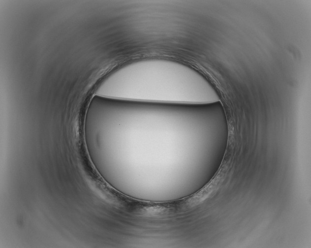 X0000112880158200908211059