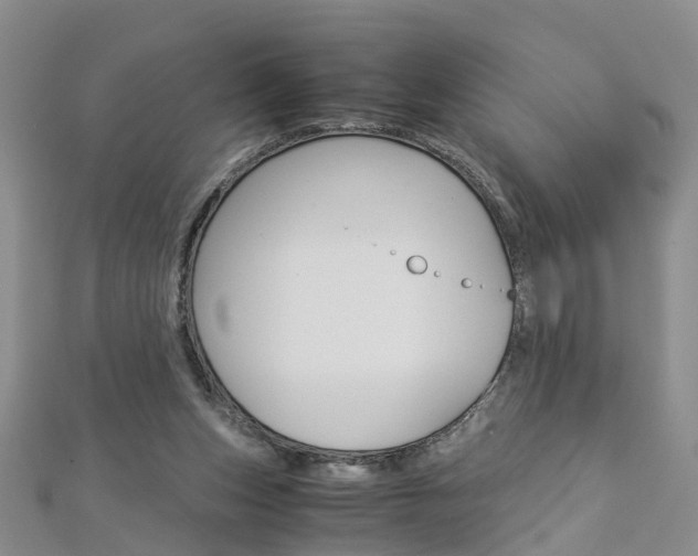 X0000112880159200908211059